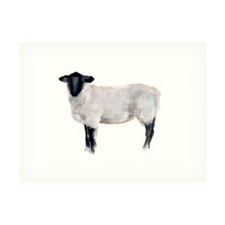 Ethan Harper 'Farm Animal Study I' Canvas Art,24x32